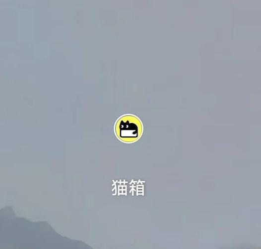 猫箱需要实名认证吗