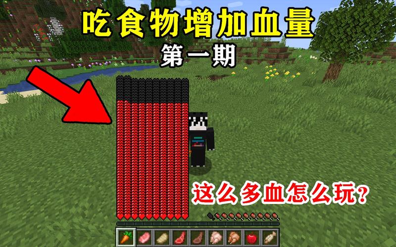 mc食物加血量上限mod怎么设置