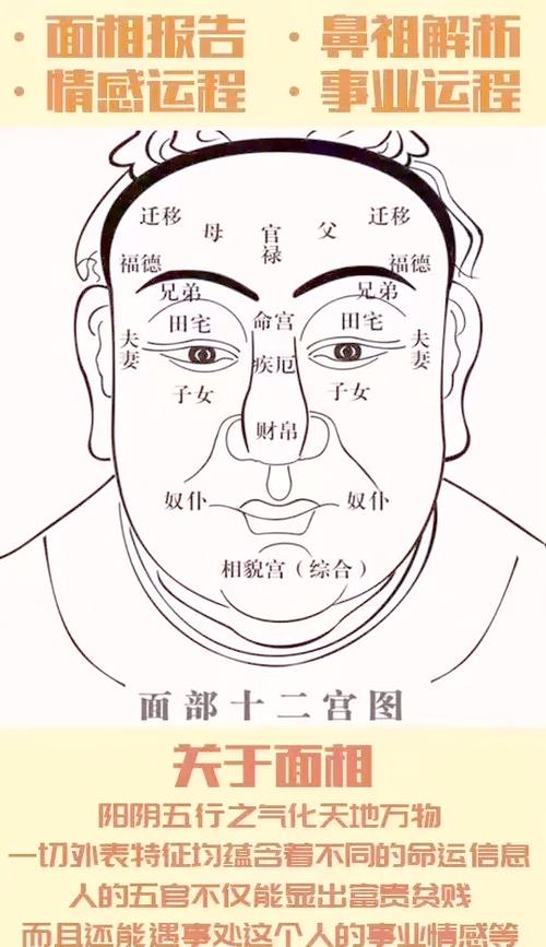 右额头旋男孩财运分析