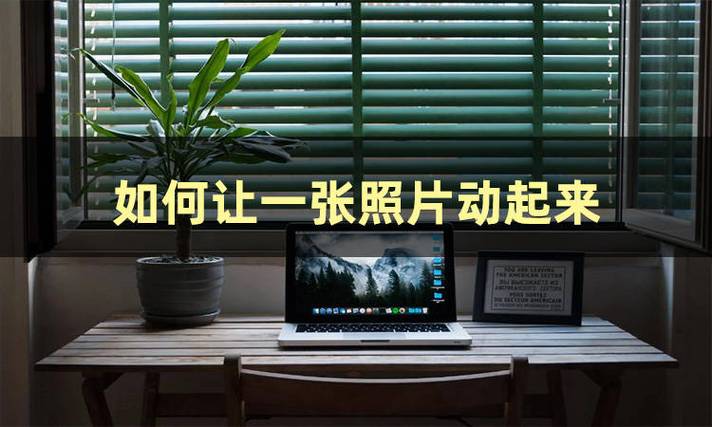 照片动起来软件免费