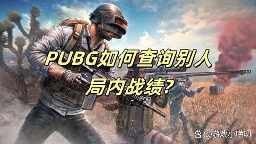 吃鸡不让别人看战绩