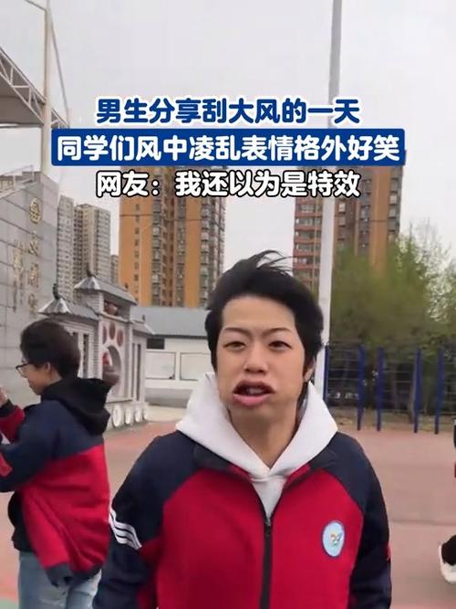 刮风表情的含义