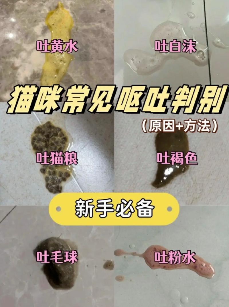 猫吐了白色黏液或泡沫吃什么药