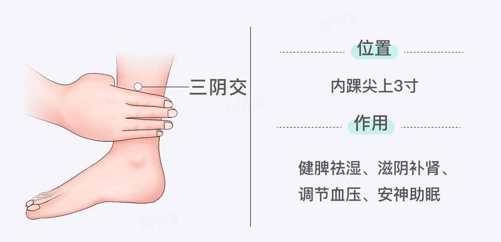 女人血虚最明显的部位