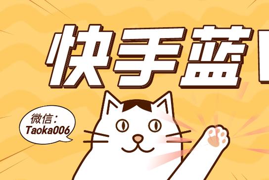快手蓝v用户什么意思