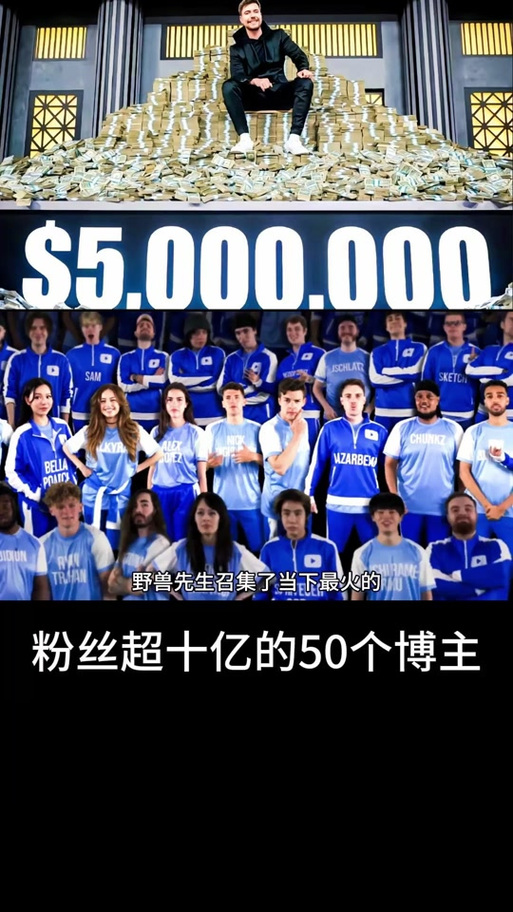 野兽先生富豪榜排第几