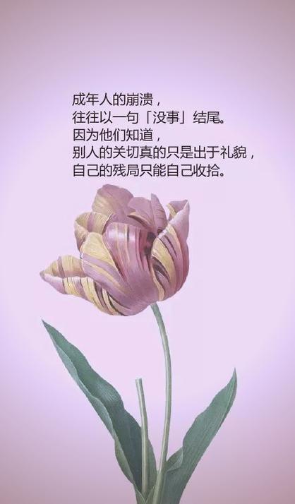 人生感悟句子发朋友圈