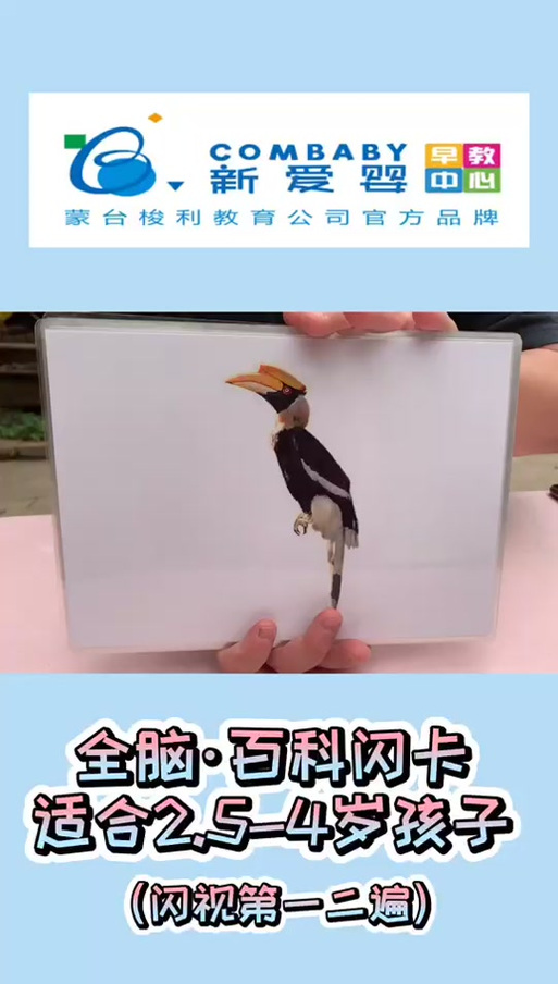 闪卡正确使用方法