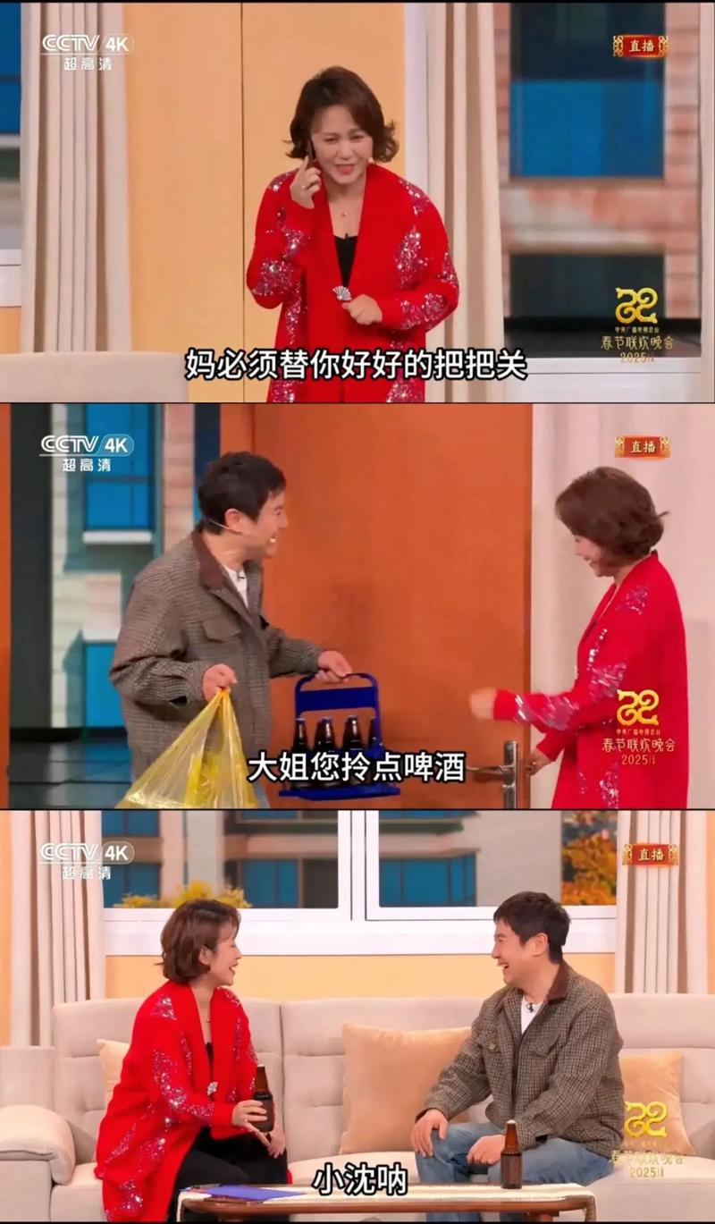 沈腾马丽《金龟婿》小品详情