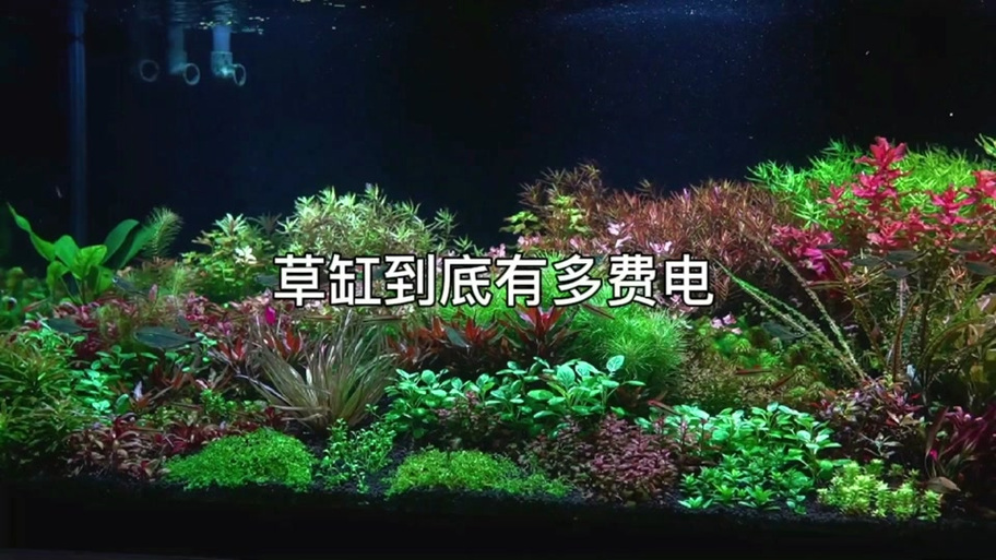 鱼缸一天用多少电