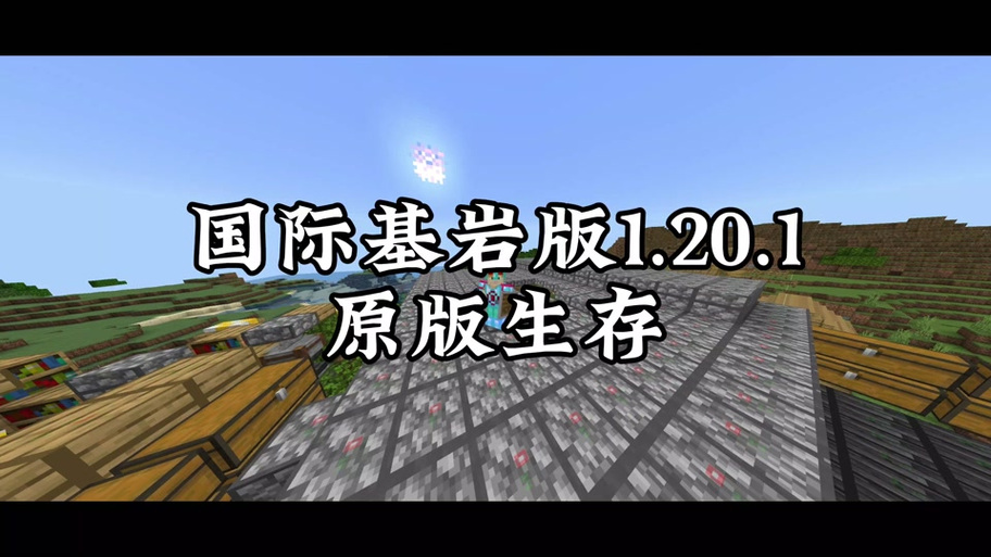 国际基岩版