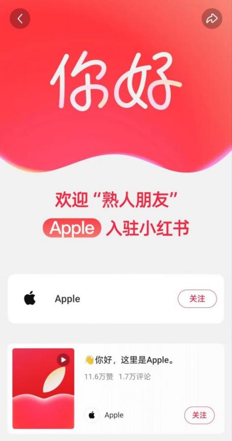 有手机号可以收到小红书账号吗
