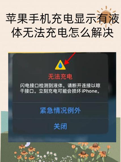 苹果充电器充不上电的原因