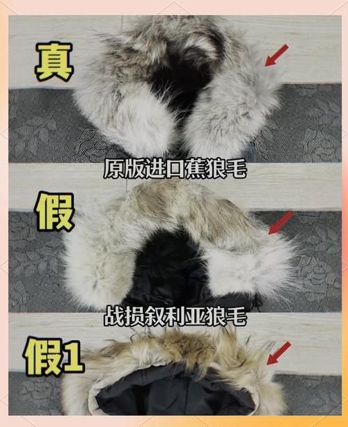 大鹅新款与老款区别