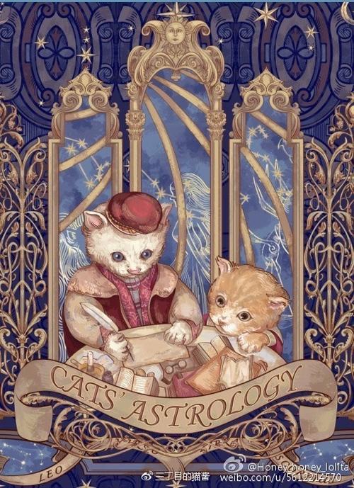 占星猫是哪一家的