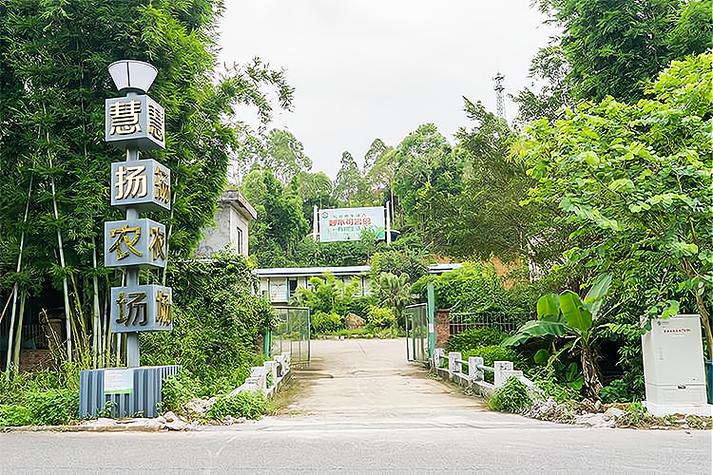 100亩小型农场要投资多少钱