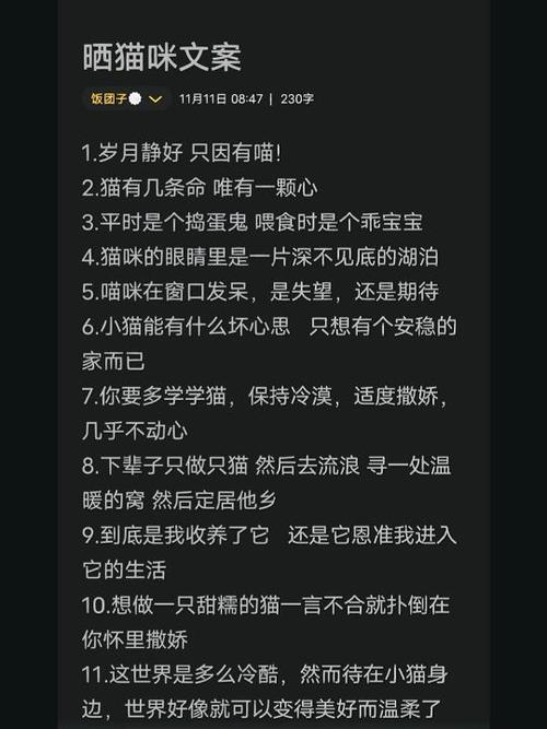 卖猫咪的文案合集