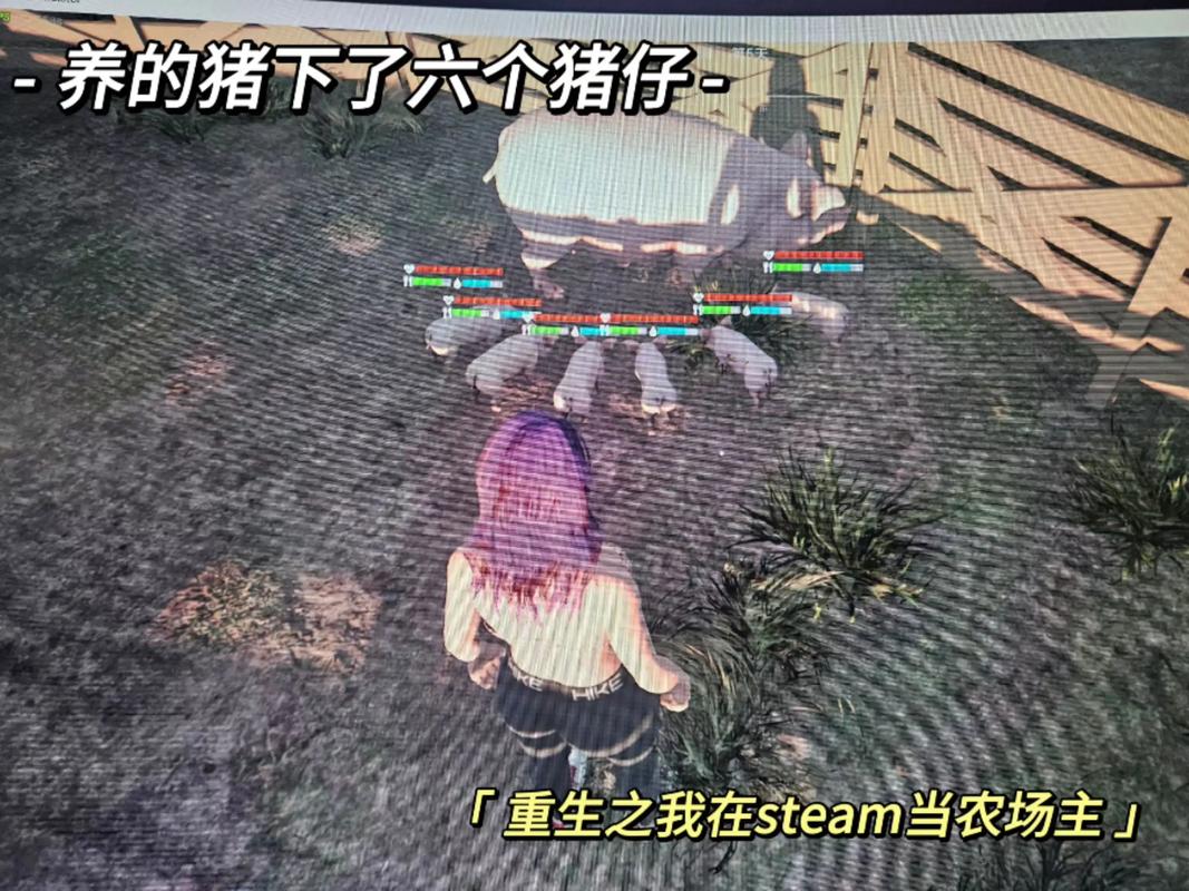 皇家农场修改器