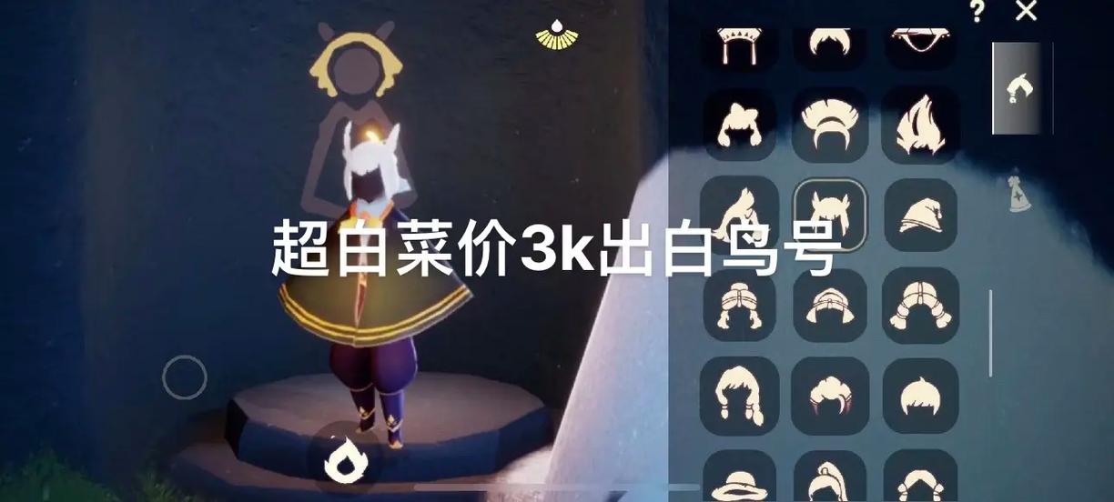 光遇白鸟号多少钱