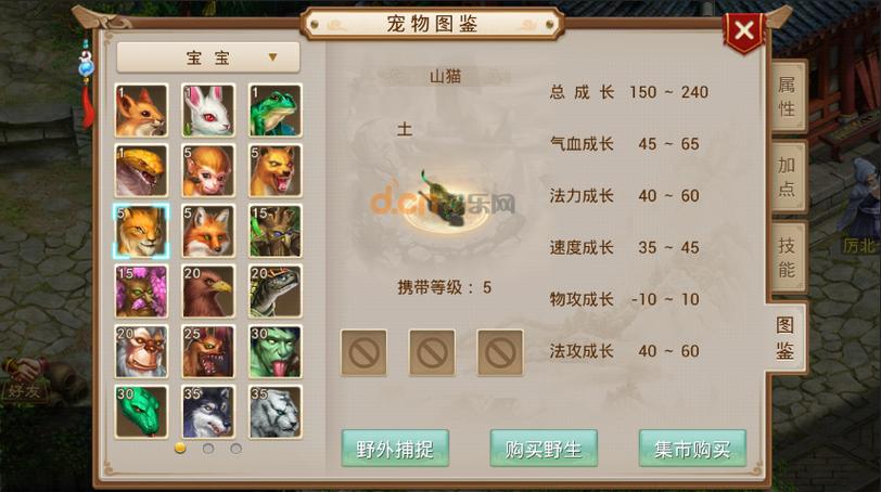 问道山猫可以一直带吗