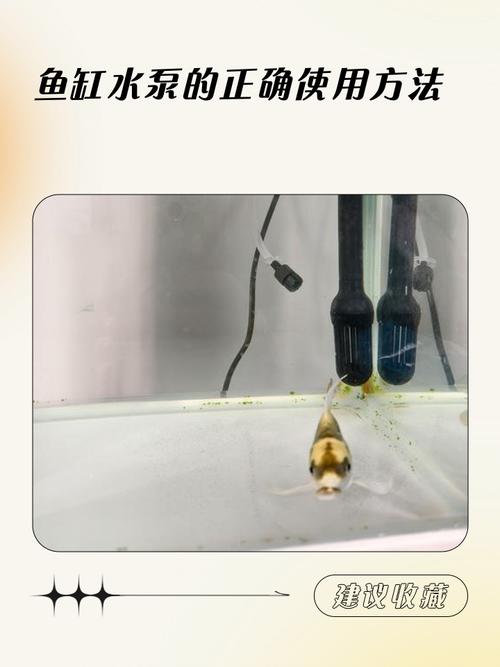 鱼缸水泵不吸水小妙招