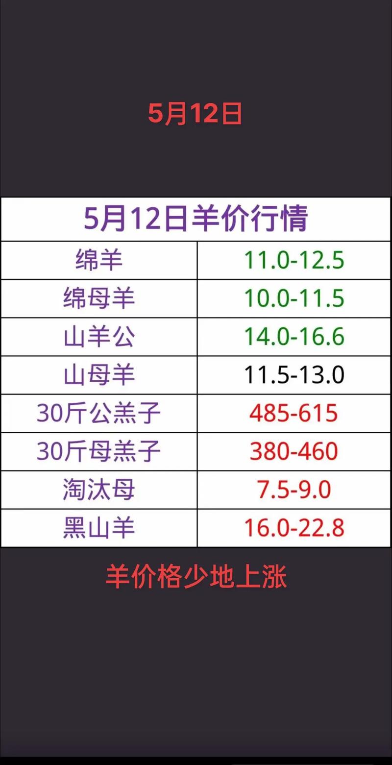 羊毛线多少钱一斤