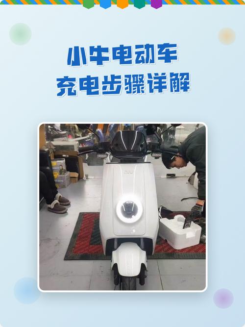 小牛充电