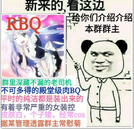表情包介绍