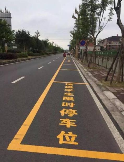 临时停车线图片