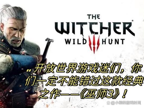 巫师3打开游戏没反应