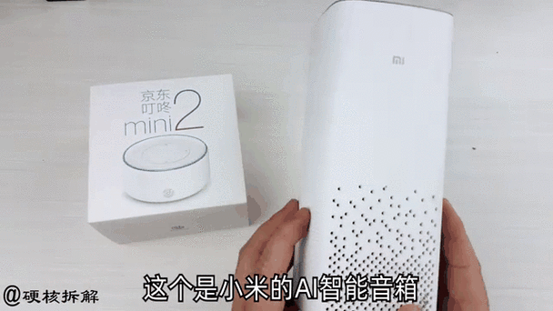 叮咚mini2使用说明书