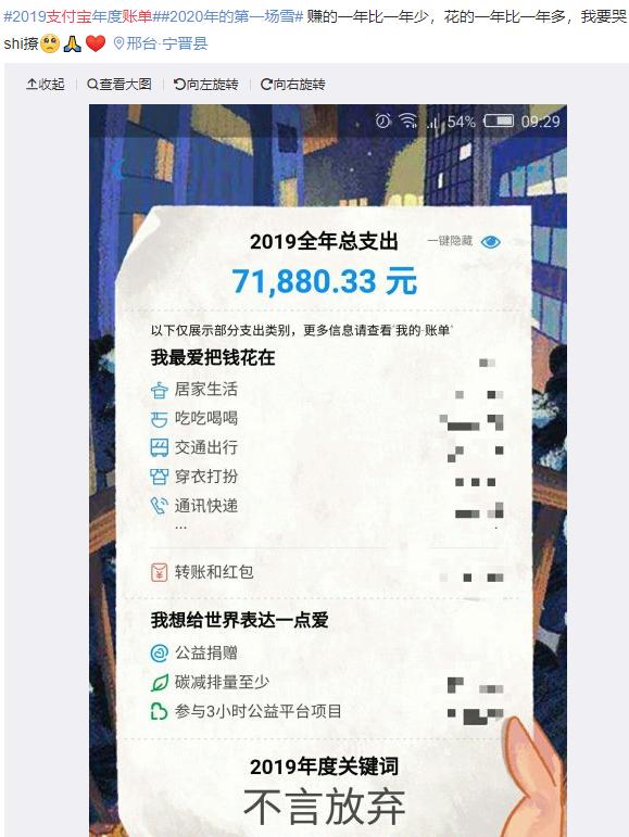 支付宝年度总支出和总收入
