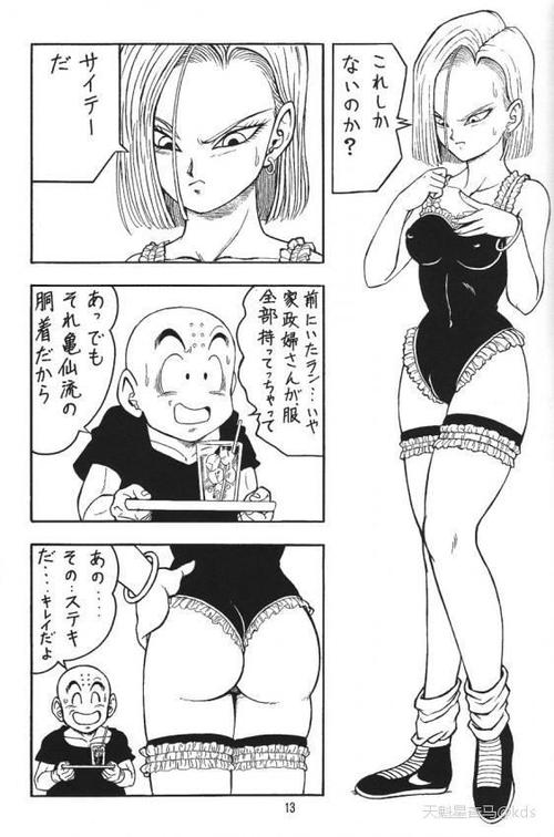 七龙珠18号番外