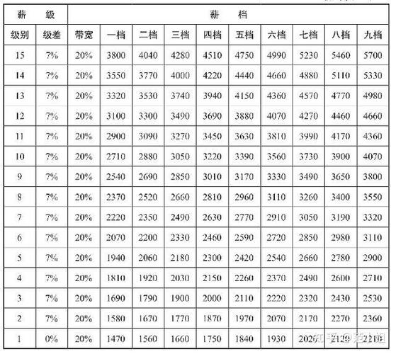 双胞胎员工级别一览表