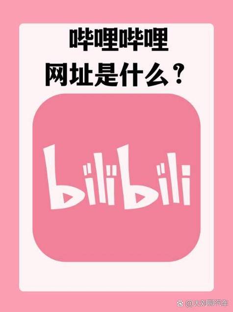 B站,网站