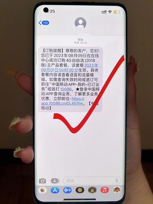 营业厅有19元200G的吗