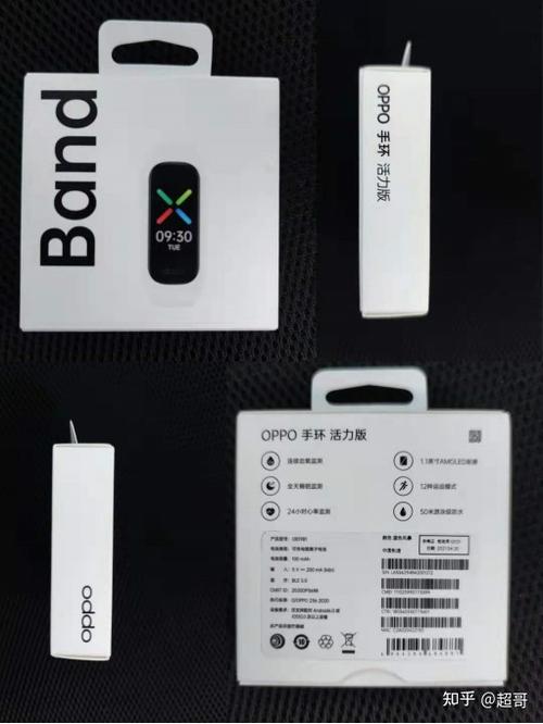 oppo智能手环多少钱