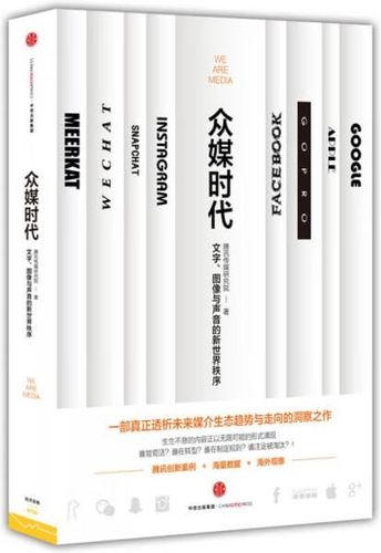 众媒时代pdf