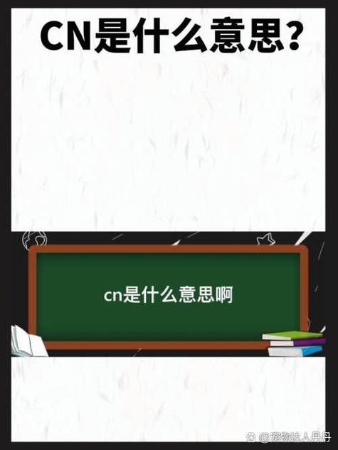 cn啥意思网络用语