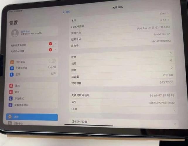 苹果ipad访问限制在哪里关闭