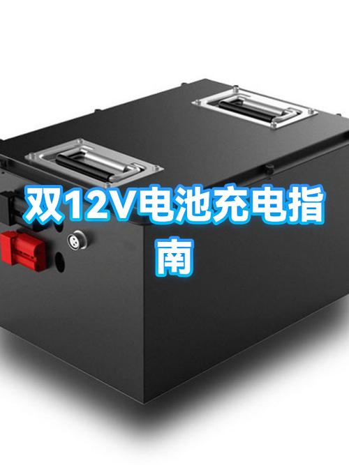 12伏电瓶正确充电方法图片