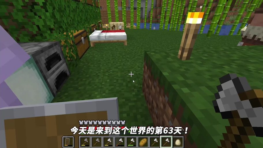 阿阳解说 模组