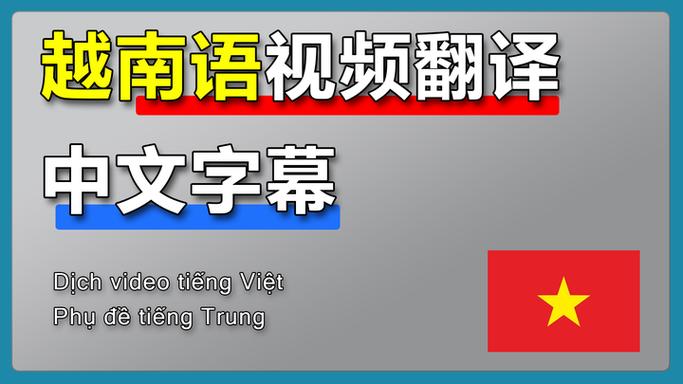 中文→越南语翻译