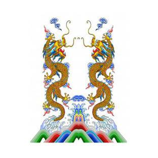 双龙图片100张