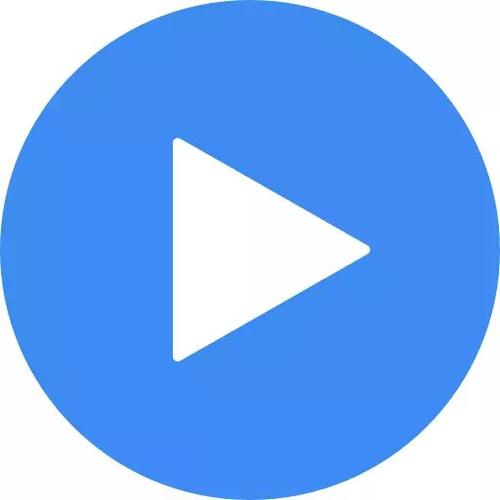 mxplayer中文专业破解版