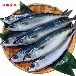 青花鱼在中国叫什么