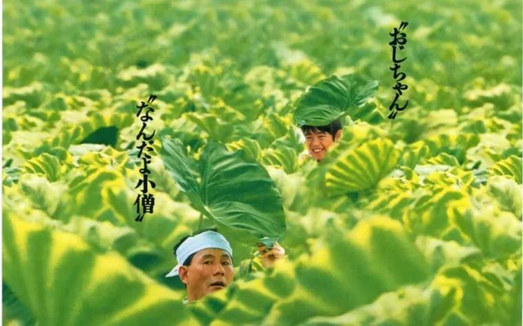 菊次郎为什么不和妈妈说话