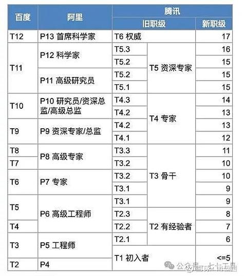 双胞胎职级明细表