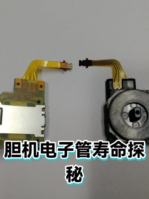 纯胆机寿命一般是几年