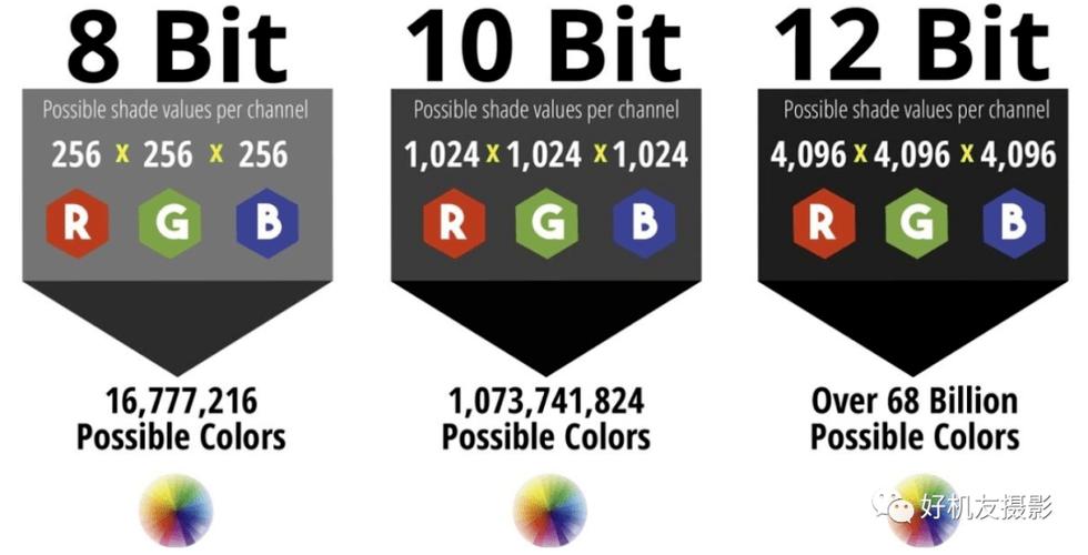 bit又叫什么